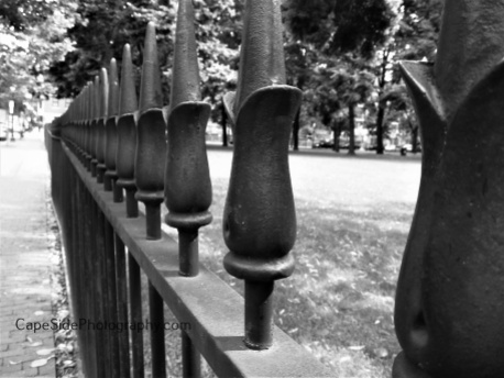 "Iron Fence"